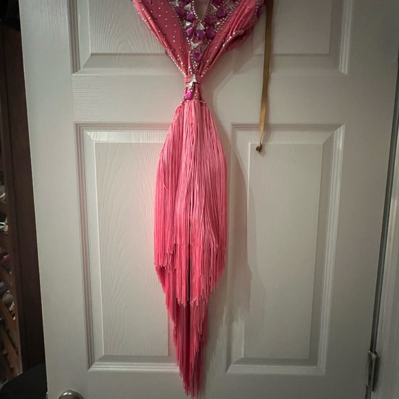 Ballroom Latin salsa rumba fringe dress - Picture 6 of 6